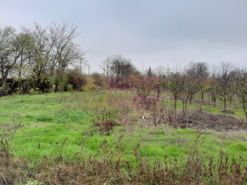 BARCANESTI -  casa +curte+teren 16k mp