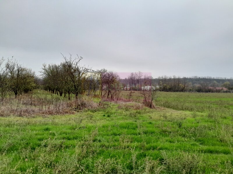 BARCANESTI -  casa +curte+teren 16k mp