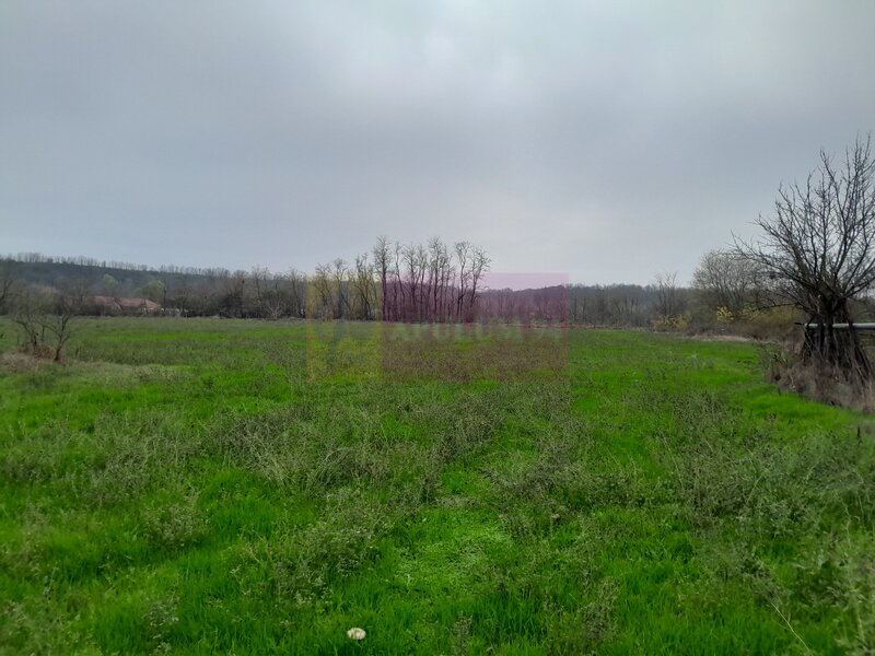 BARCANESTI -  casa +curte+teren 16k mp