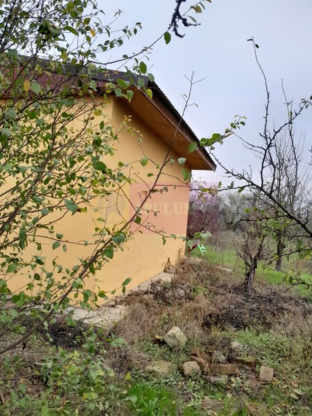 BARCANESTI -  casa +curte+teren 16k mp